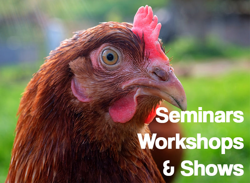 Spring Events and Workshops