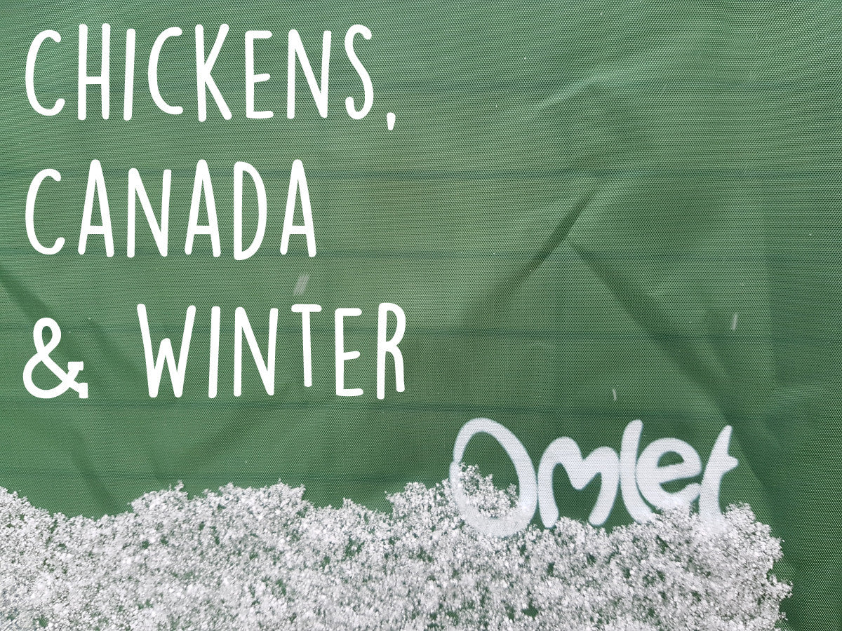 Chickens in Winter?