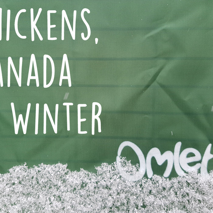 Chickens in Winter?