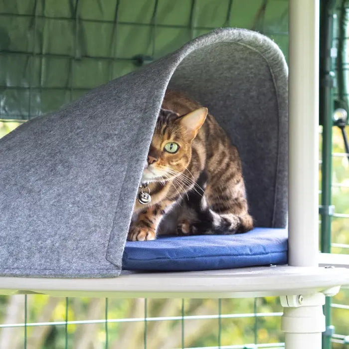 Freestyle Outdoor Cat Tree - Plastic Platform with Felt Den and Blue Cushion (includes bracket)