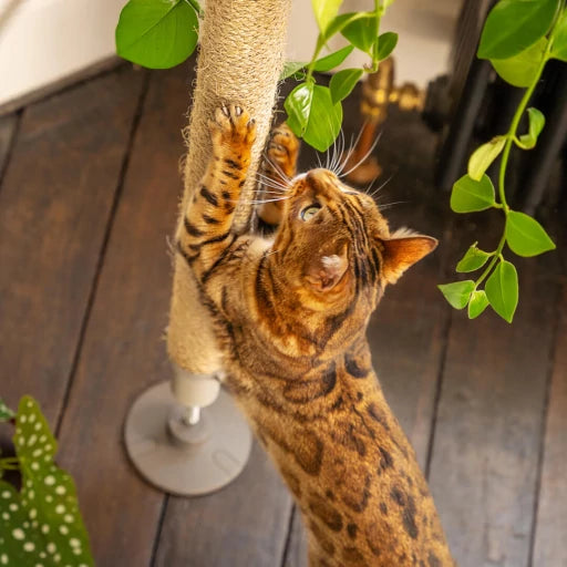 Freestyle Outdoor Cat Tree - Sisal Scratching Rope Kit for Vertical Pole Base