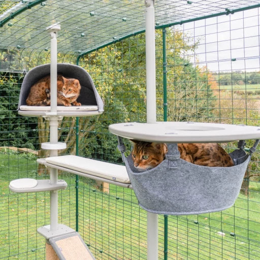 Freestyle Outdoor Cat Tree - Plastic Hammock Platform with Hammock (includes bracket)