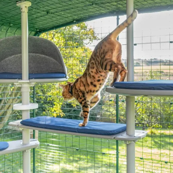 Freestyle Outdoor Cat Tree - Plastic Bridge with Blue Cushion (includes brackets)
