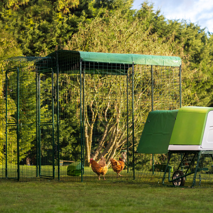 Heavy Duty Walk In Run/Catio Cover 2x2m