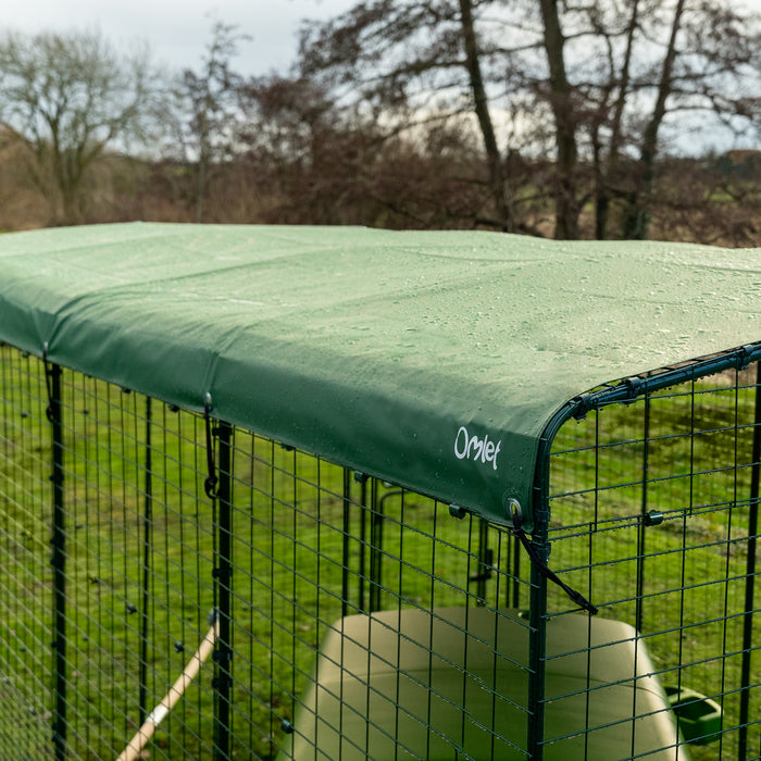 Heavy Duty Walk In Run/Catio Cover 3x4m