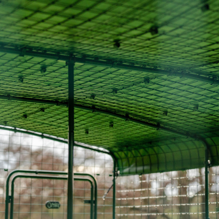 Heavy Duty Walk In Run/Catio Cover 2x2m