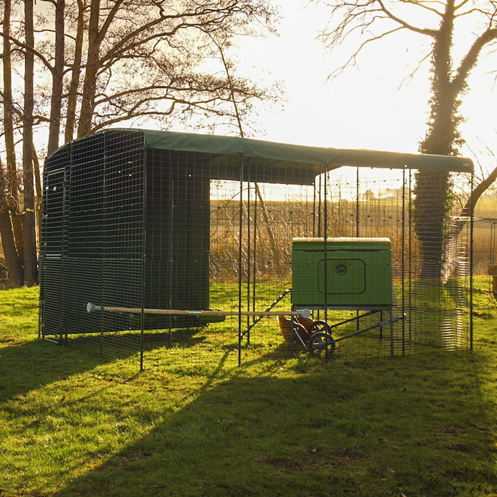 Heavy Duty Walk In Run/Catio Cover 3x3m