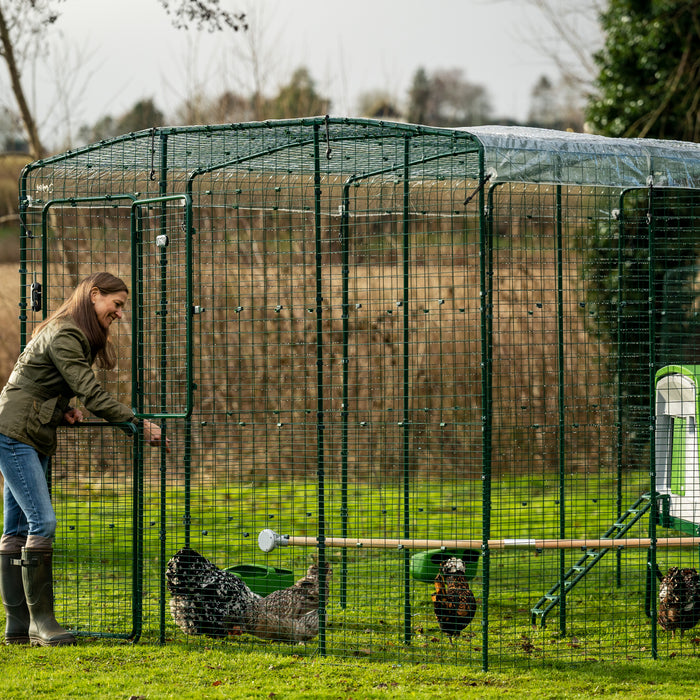 Clear Walk In Run/Catio Cover 2x2m