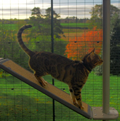 Freestyle Outdoor Cat Tree - Plastic Pole to Pole Ramp with Sisal Scratching Wrap (includes bracket)