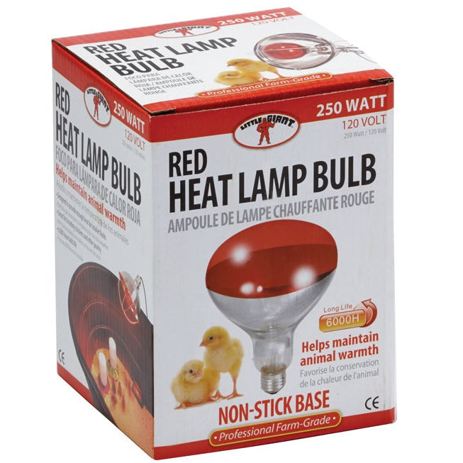 Brooder Heat Lamp 250W