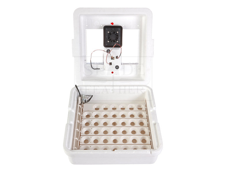Little Giant Circulated Air Incubator