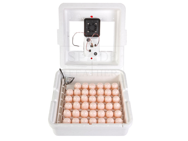 Little Giant Circulated Air Incubator