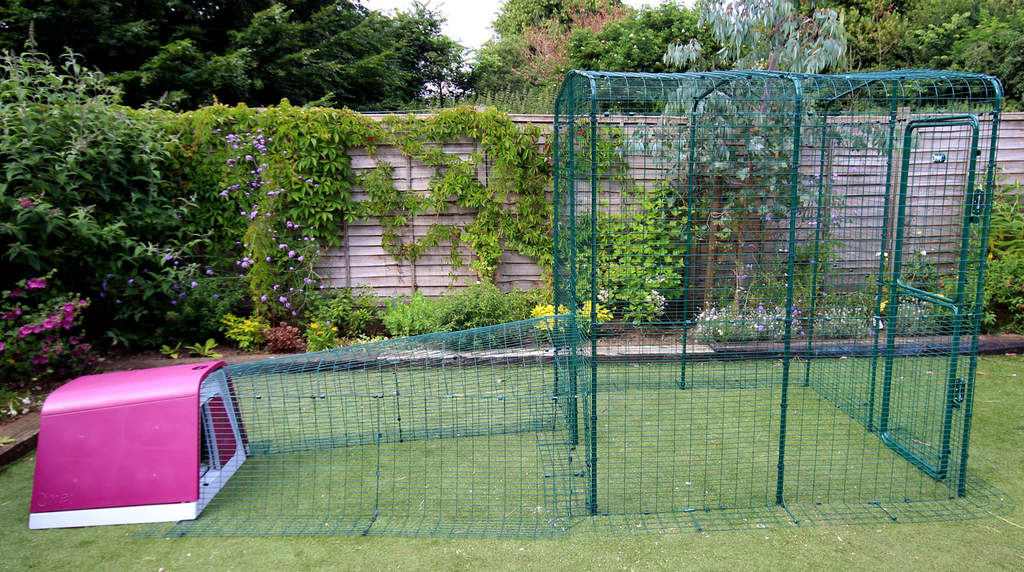 Eglu Go with Run Connection Kit for Walk In Chicken Run