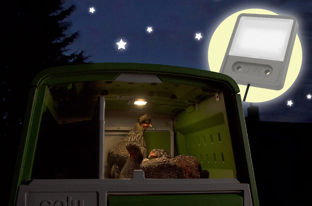 Coop Light for the Smart Autodoor