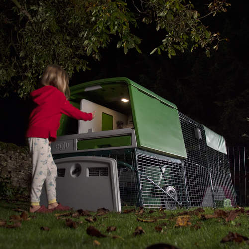Coop Light for the Smart Autodoor