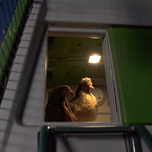 Coop Light for the Smart Autodoor