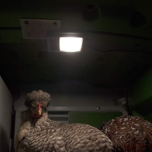 Coop Light for the Smart Autodoor