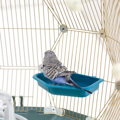 Geo Bird Bath