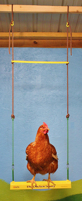 The Chicken Swing