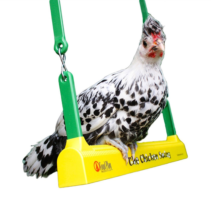 The Chicken Swing