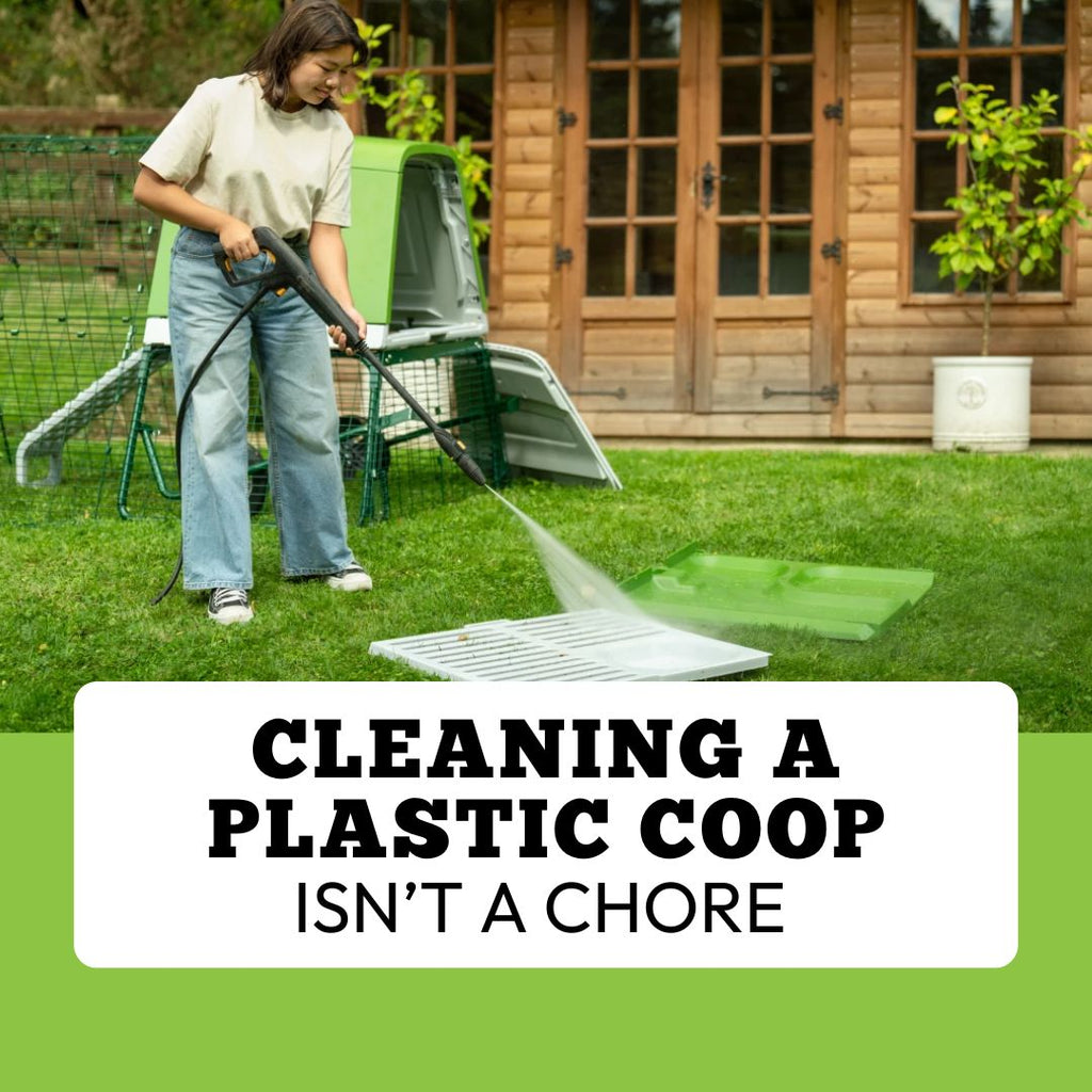 Why Cleaning a Plastic Coop Isn’t Actually a Chore