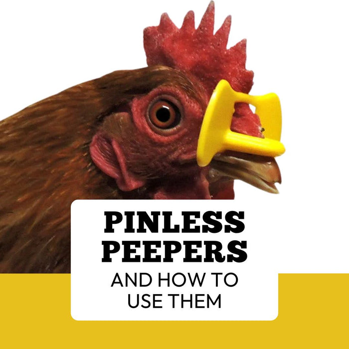 What are Pinless Peepers and How Do I Use Them?