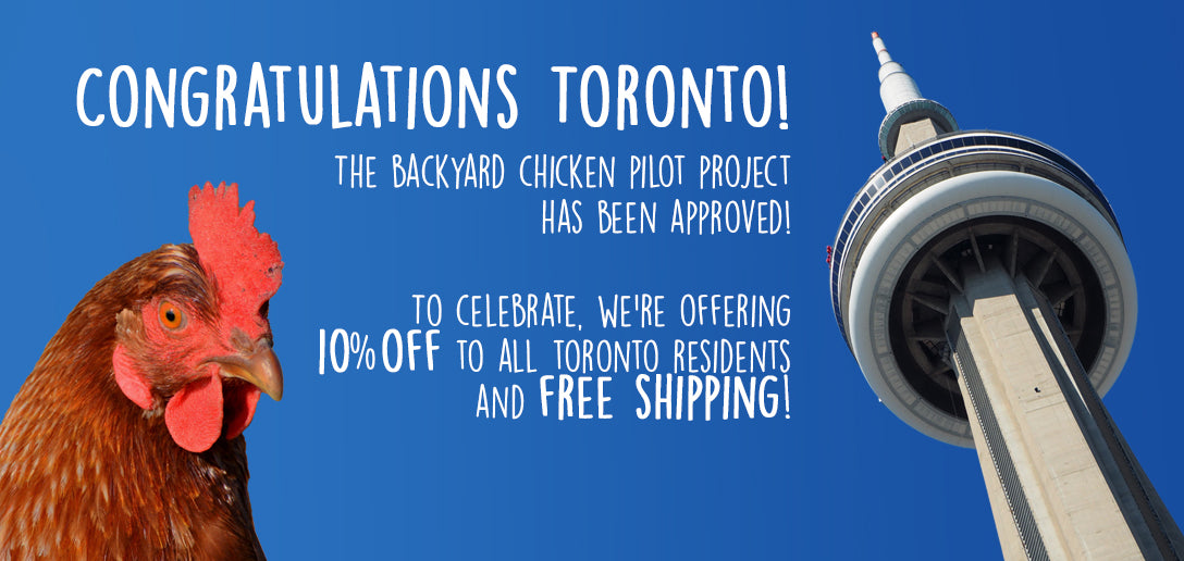 Toronto Backyard Chicken Pilot