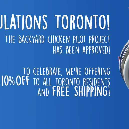 Toronto Backyard Chicken Pilot
