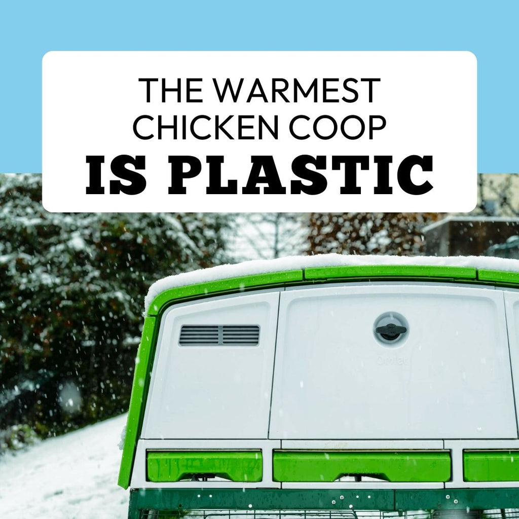 The Warmest Chicken Coop is Plastic