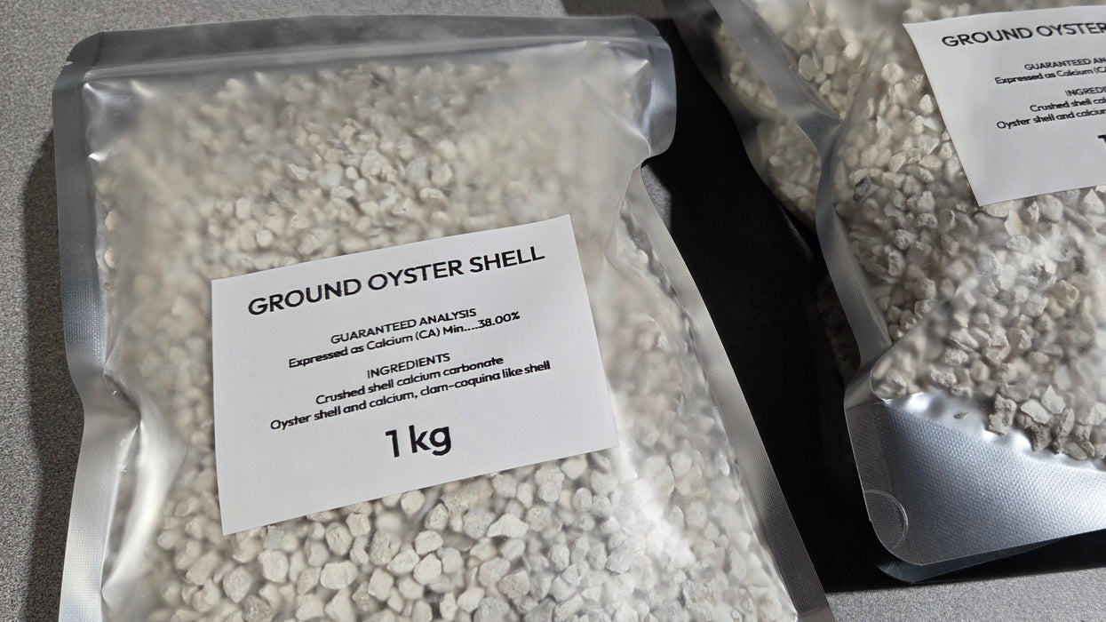 Crushed Oyster Shell for Poultry