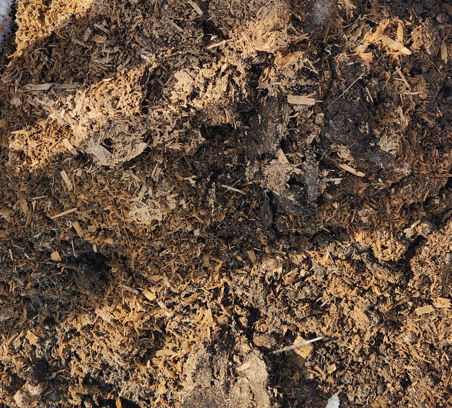 Pile of composted chicken manure
