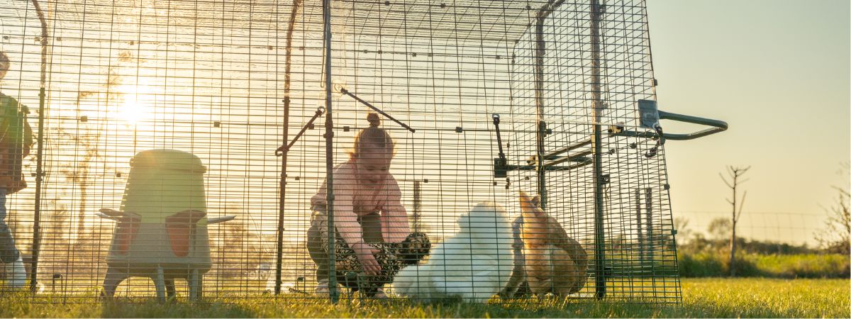 Girl with chickens in an Omlet Eglu coop with walk in run