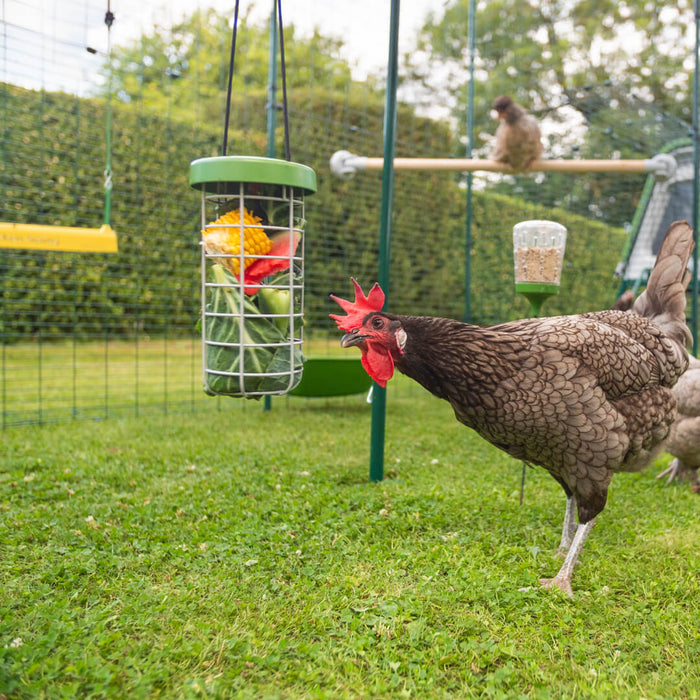 Caddi Chicken Treat Holder