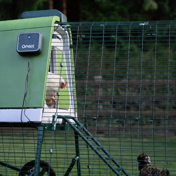 Smart Automatic Door for Eglu Go Coops