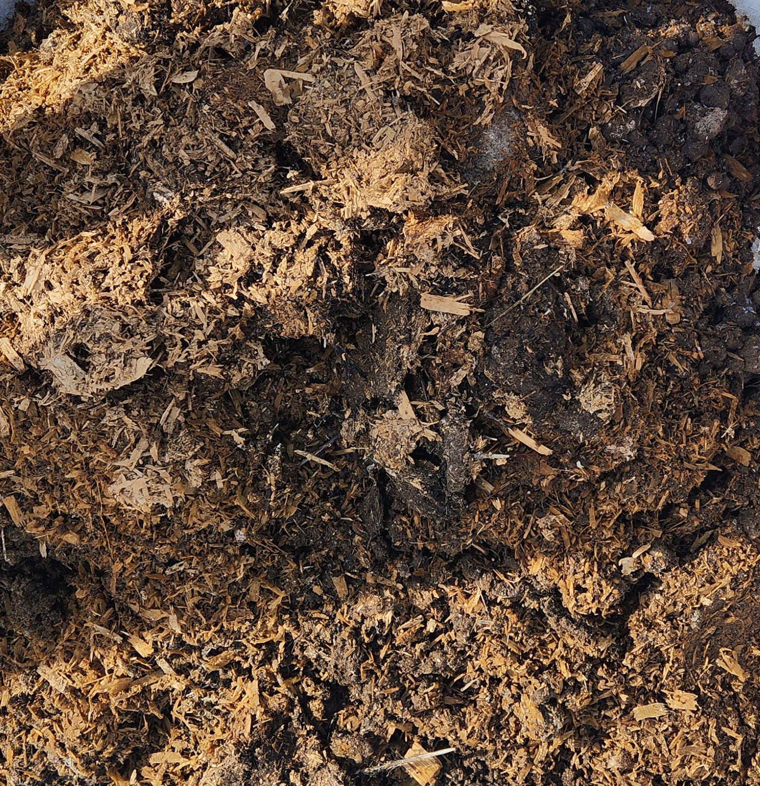 A mixture of bedding and chicken droppings