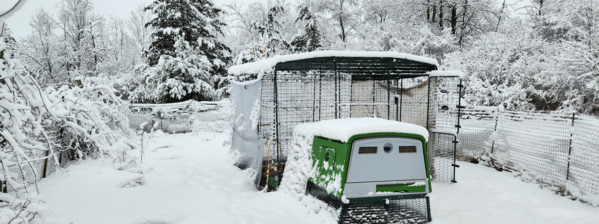 Modern Chicken Coop in Winter