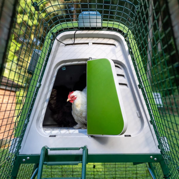 Smart Automatic Door for Eglu Go Coops