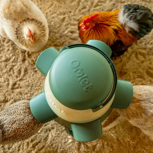 No Waste Chicken Feeder
