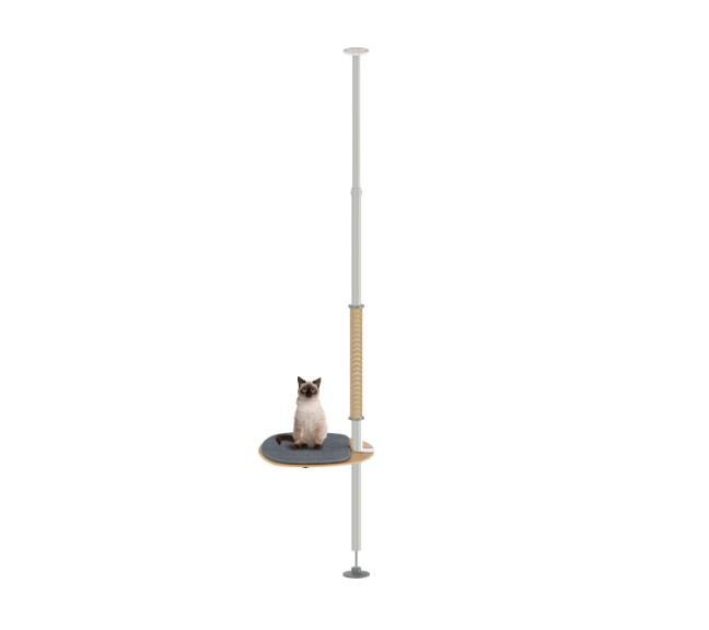 Cat perched on a elevated platform with a pole, on a white background
