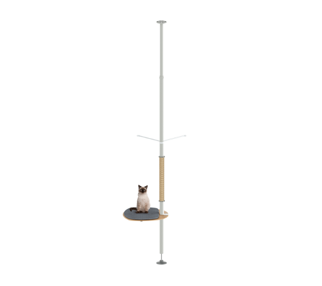 Cat sitting on a platform attached to a tall pole on a white background