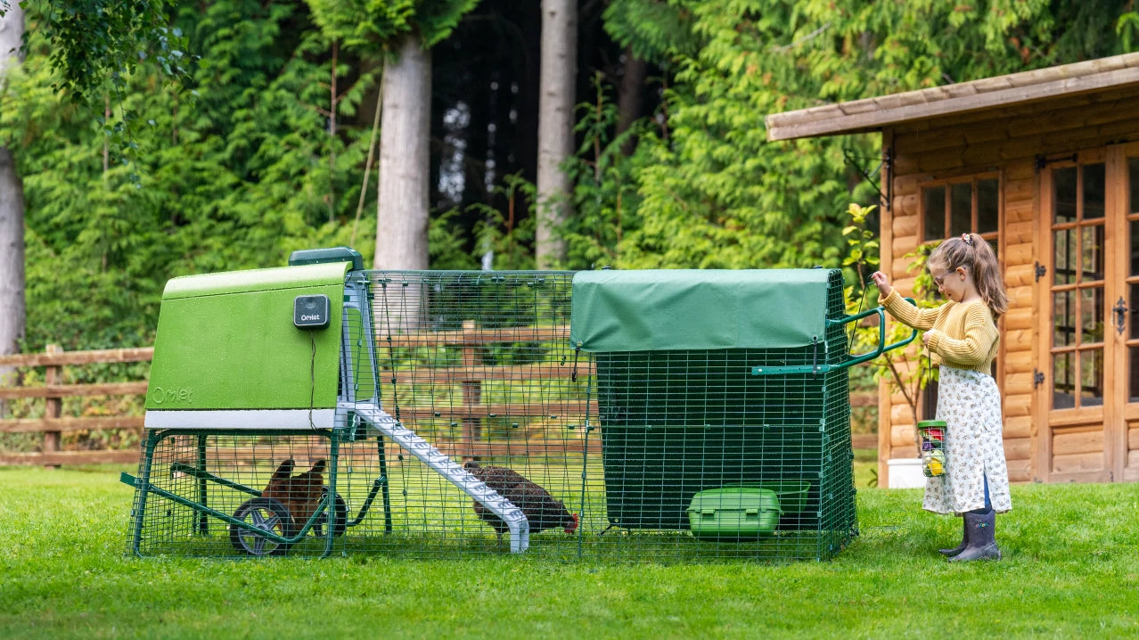 Young girl bringing treats to her chickens