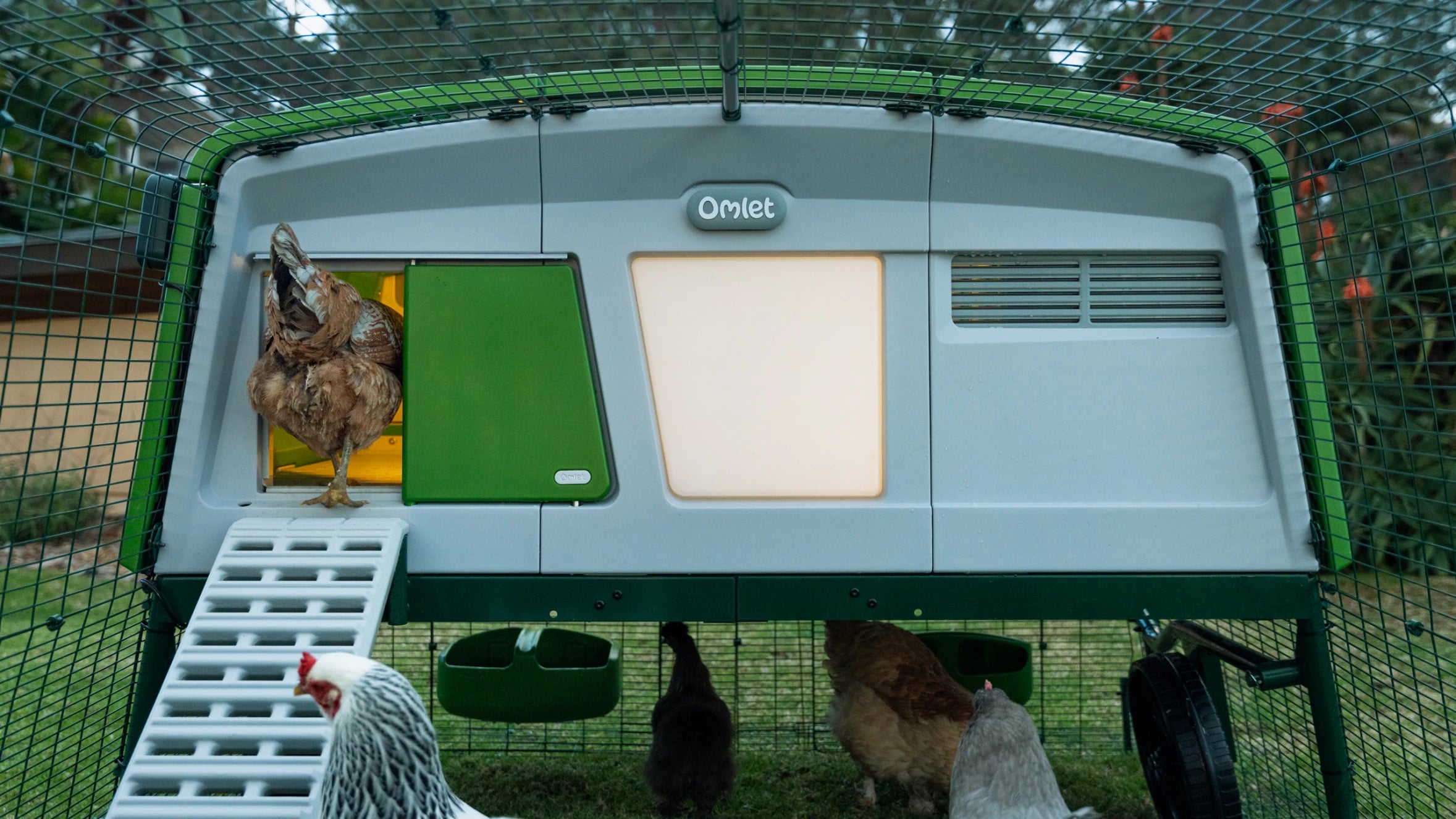 Omlet Eglu Go Up Raised Chicken Coop Four Legs or Wings Pets Omlet Eglu Go Up Raised Chicken Coop Four Legs or Wings Pets