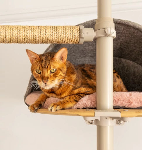 Cat relaxing on the Freestyle Cat Tree in their den