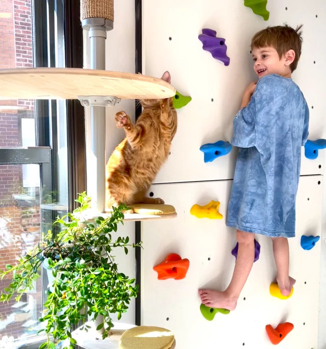 Child and cat climbing together