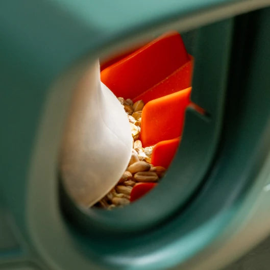 No Waste Chicken Feeder
