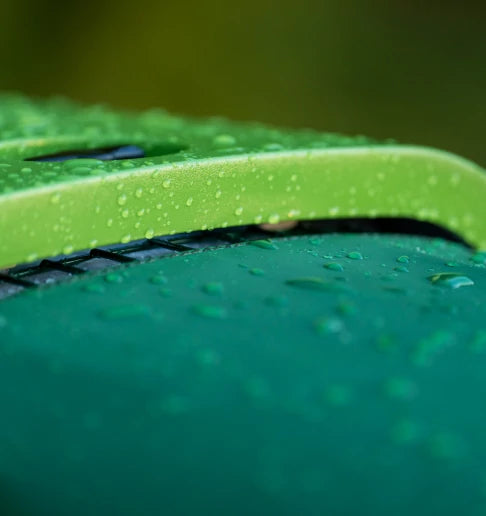 Chicken on top of chicken coop