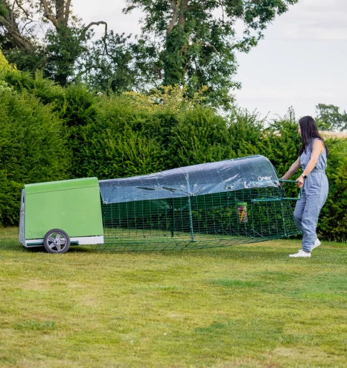 Using optional wheels and handles a chicken keeper moves her coop to fresh grass