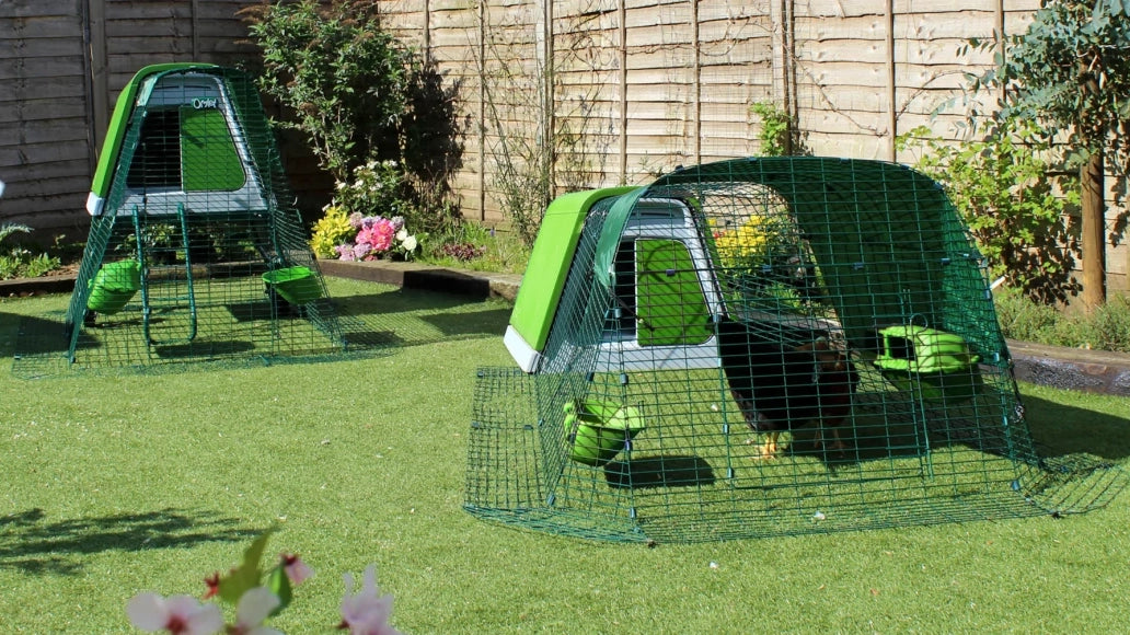Woman moving chicken tractor with wheels and handles