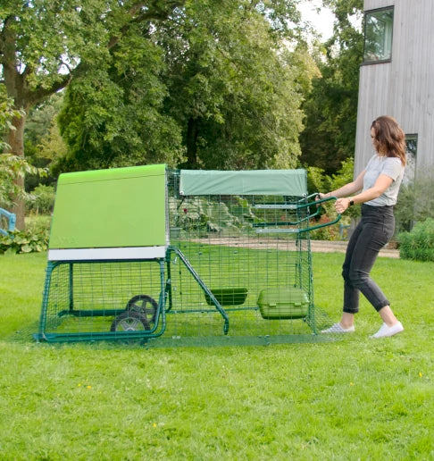 Using optional wheels and handles a chicken keeper moves her coop to fresh grass