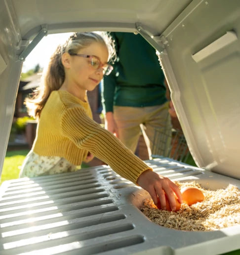 Young girl collecting eggs from her chicken coop
